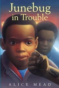 Cover: Junebug in Trouble - Farrar, Straus and Giroux (BYR)