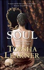 Cover: Soul - Forge Books