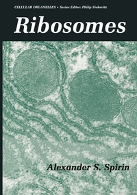 Abbildung von: Ribosomes - Springer