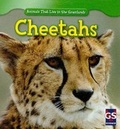 Cover: Cheetahs - Gareth Stevens Publishing