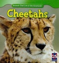 Enlarge image Cover: Cheetahs - Gareth Stevens Publishing
