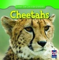 Cover: Cheetahs - Gareth Stevens Publishing