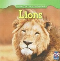 Enlarge image Cover: Lions - Gareth Stevens Publishing