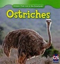 Cover: Ostriches - Gareth Stevens Publishing