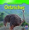 Cover: Ostriches - Gareth Stevens Publishing