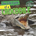 Cover: The Life Cycle of a Crocodile - Gareth Stevens Publishing