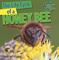 Enlarge image Cover: The Life Cycle of a Honeybee - Gareth Stevens Publishing