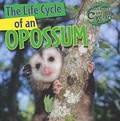 Cover: The Life Cycle of an Opossum - Gareth Stevens Publishing