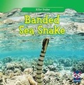 Cover: Banded Sea Snake - Gareth Stevens Publishing