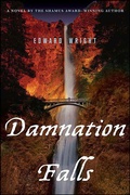 Cover: Damnation Falls - Minotaur Books