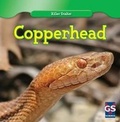 Cover: Copperhead - Gareth Stevens Publishing