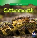 Cover: Cottonmouth - Gareth Stevens Publishing