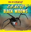 Cover: Deadly Black Widows - Gareth Stevens Publishing