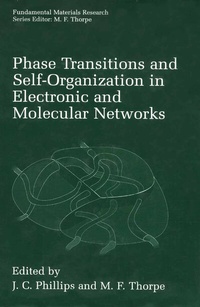 Abbildung von: Phase Transitions and Self-Organization in Electronic and Molecular Networks - Kluwer Academic/Plenum Publishers