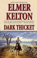 Cover: Dark Thicket - Forge Books