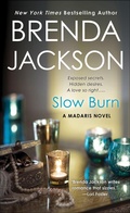 Cover: Slow Burn - St. Martin's Paperbacks