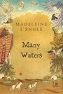 Cover: Many Waters - Farrar, Straus and Giroux (BYR)