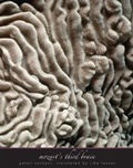 Cover: Mozart's Third Brain - Yale University Press