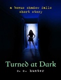 Cover: Turned at Dark - St. Martin's Griffin