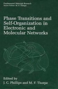 Abbildung von: Phase Transitions and Self-Organization in Electronic and Molecular Networks - Kluwer Academic / Plenum Publishers