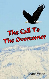 Enlarge image Cover: The Call To The Overcomer - AuthorHouse