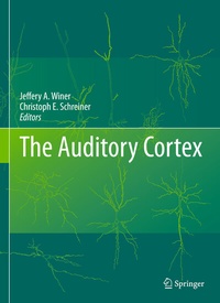 Abbildung von: The Auditory Cortex - Springer