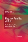 Cover: Hispanic Families at Risk - Springer