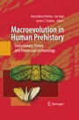 Cover: Macroevolution in Human Prehistory - Springer