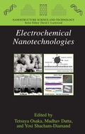 Cover: Electrochemical Nanotechnologies - Springer