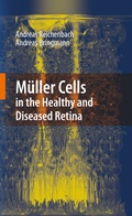 Cover: M&uuml;ller Cells in the Healthy and Diseased Retina - Springer