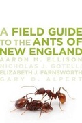 Cover: A Field Guide to the Ants of New England - Yale University Press