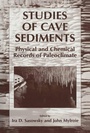 Bild: Studies of Cave Sediments - Springer
