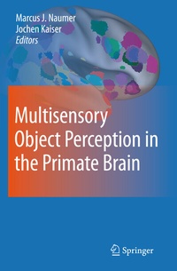 Abbildung von: Multisensory Object Perception in the Primate Brain - Springer