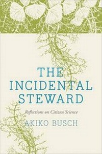 Enlarge image Cover: The Incidental Steward - Yale University Press