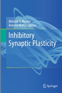 Abbildung von: Inhibitory Synaptic Plasticity - Springer