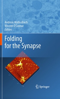 Abbildung von: Folding for the Synapse - Springer