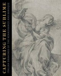 Enlarge image Cover: Capturing the Sublime - Yale University Press