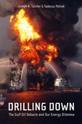 Cover: Drilling Down - Copernicus