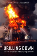 Cover: Drilling Down - Springer