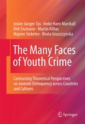 Cover: The Many Faces of Youth Crime - Springer