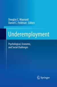 Enlarge image Cover: Underemployment - Springer