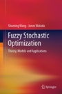 Cover: Fuzzy Stochastic Optimization - Springer