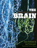 Cover: The Brain - Yale University Press