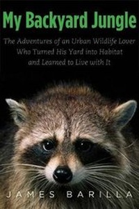 Enlarge image Cover: My Backyard Jungle - Yale University Press