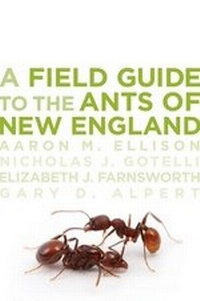 Enlarge image Cover: A Field Guide to the Ants of New England - Yale University Press