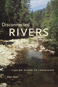 Enlarge image Cover: Disconnected Rivers - Yale University Press