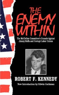Abbildung von: The Enemy within - Da Capo Press Inc