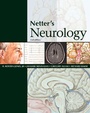 Cover: Netter's Neurology - Saunders