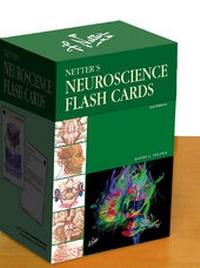 Abbildung von: Netter's Neuroscience Flash Cards - Saunders