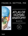 Bild: Atlas of Human Anatomy, Professional Edition - Saunders
